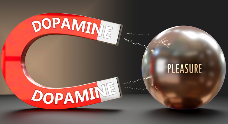 The image is of a magnet and an iron ball of pleasure and dopamine. This blog article looks at tips for curbing and reducing impulsivity in individual adults with ADHD. written by neuro-affirming counsellor and psychotherapist Amanda Reynolds.
