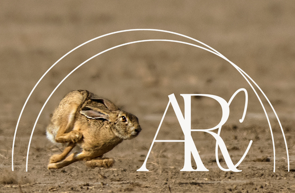 This image is a photo of a hare dashing off to depict how we can become hyper anxious in flight mode from our surroundings. This is for the grounding article. Created by counsellor and psychotherapist Amanda Reynolds of AR Counselling services, West Yorkshire.